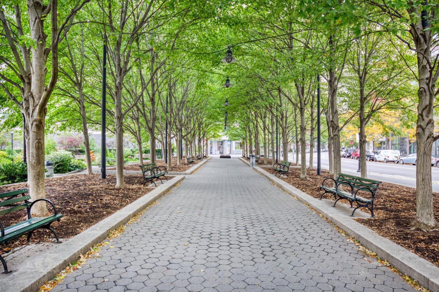 Appartamento Modern Fidi 1Br W Roofdeck Gym Doorman Nyc-443 New York Esterno foto